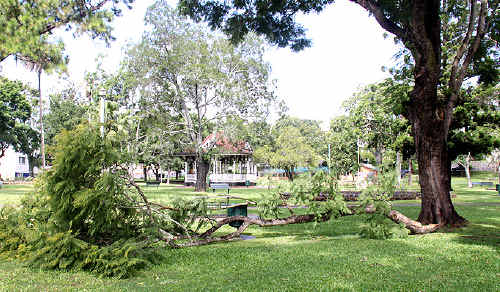 Council workers were on the job early yesterday morning removing this jacaranda branch which came down in Memorial Park over the weekend. Council workers were on the job early yesterday morning removing this jacaranda branch which came down in Memorial Park over the weekend.